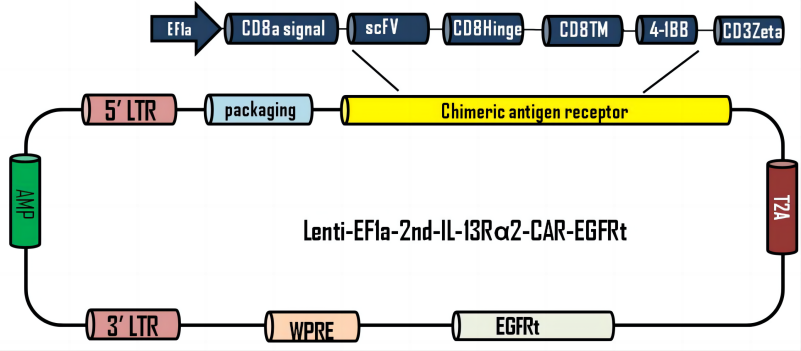 LIC010A(1).png