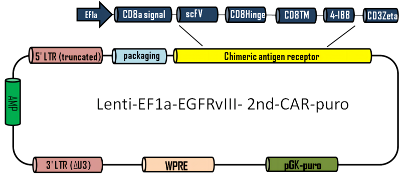 LIC007A(1).png