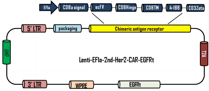 LIC009A(1).png