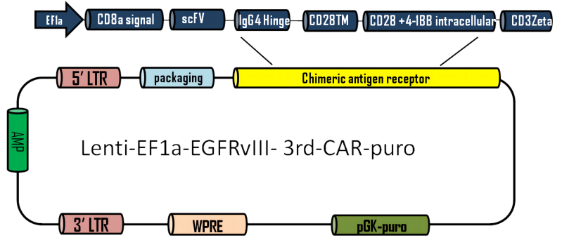 LIC008A(1).png