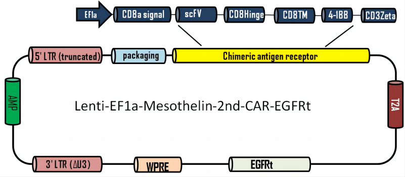 LIC012A(1).png