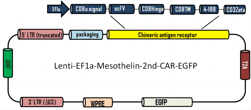 LIC011A(1).png