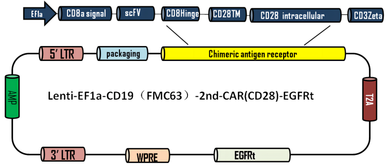 LIC001A(1).png