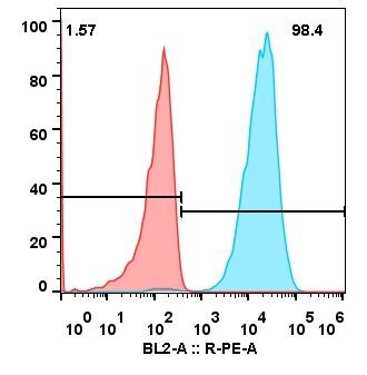Nectin4 Enfortumab CHO-S-Nectin4.jpg