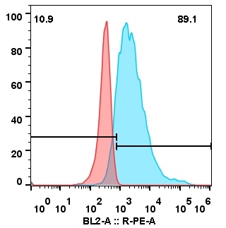 BCMA-belantamab CHO-S-Cyno-BCMA (1).jpg