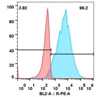 BCMA-Tecilistamab  CHO-K1-BCMA (1) (1).jpg