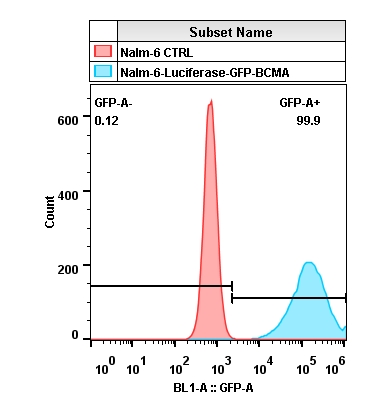 NALM-6-BCMA-gfp.jpg