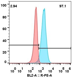 DLL3-Rovalpituzumab DMS53-DLL3.jpg