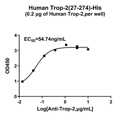 TROP2 HUMAN .jpg