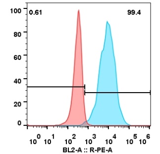Trop2-Trodelvy MDA-MB-231.jpg