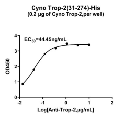 CYNO-TROP2 ELISA.jpg