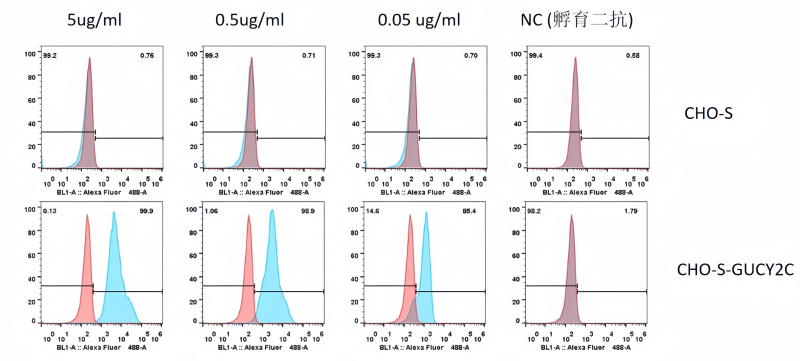 biotin.png