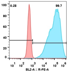 PDL1-Atezolizumab-CHO-S-human PDL1-puro.jpg