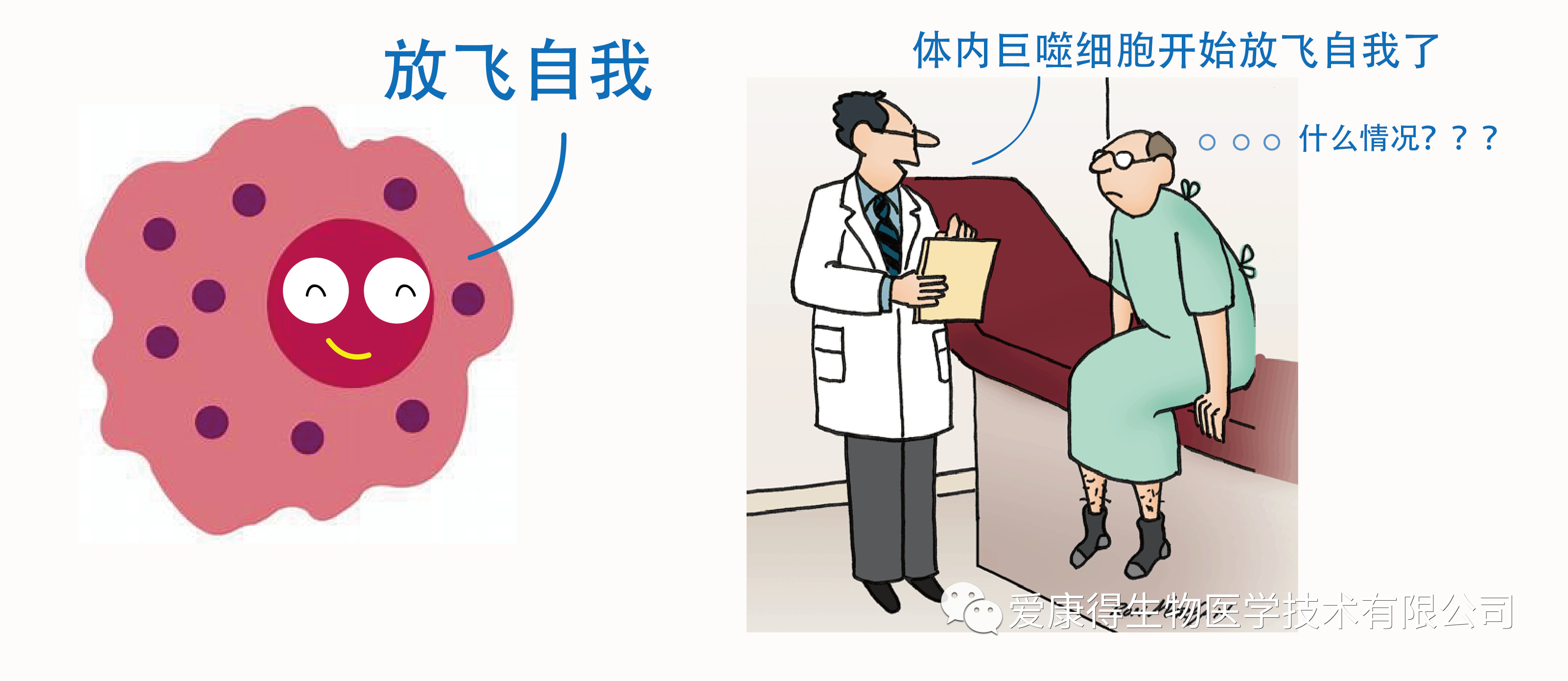 巨噬细胞.jpg