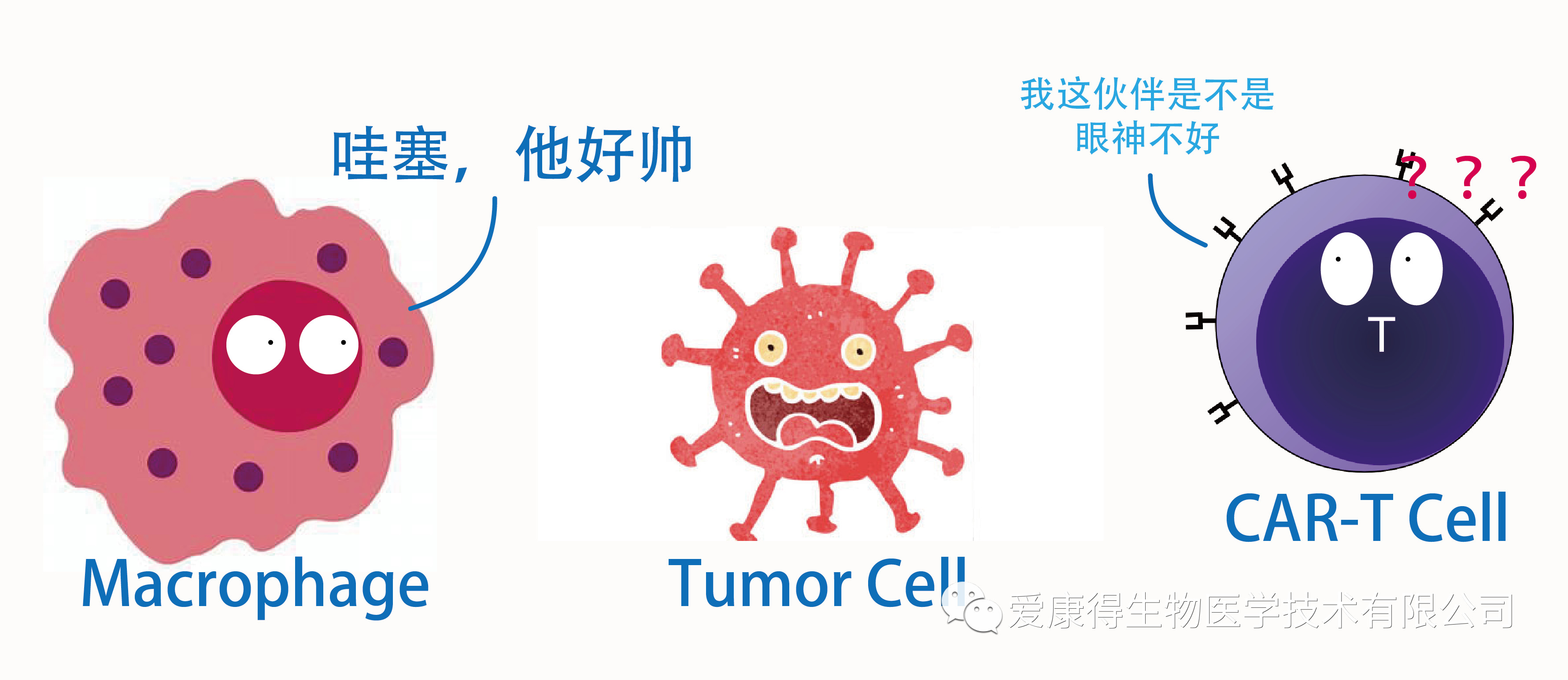 肿瘤细胞.jpg