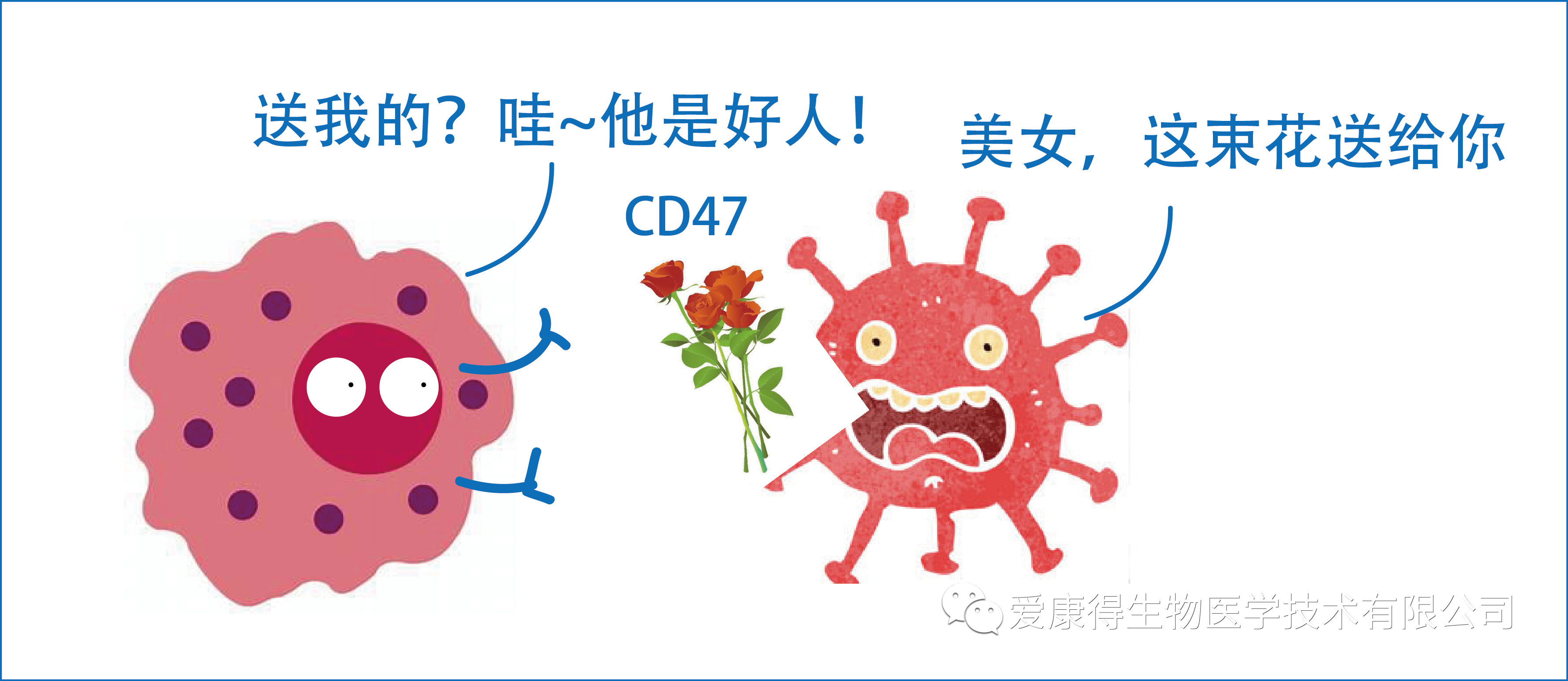 CAR-macrophage.jpg