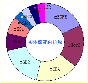 CAR-T 肿瘤治疗 免疫治疗 图六.png