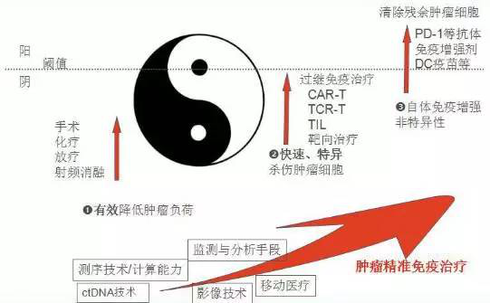 CAR-T 肿瘤治疗 免疫治疗 图七.png