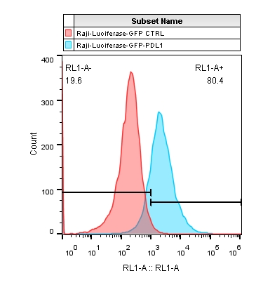 2019-11-18-Raji-Luciferase-GFP-PDL1-Layout.jpg