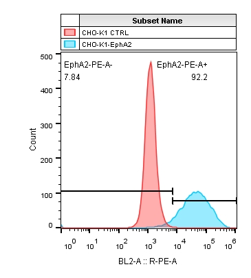 2019-7-23 CHO-K1 EPHA2.jpg