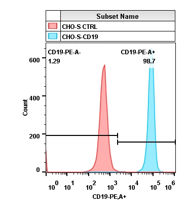 2018-9-29-CHO-S-CD19.jpg