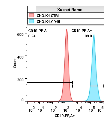 2019-11-18-CHO-K1-CD19.jpg