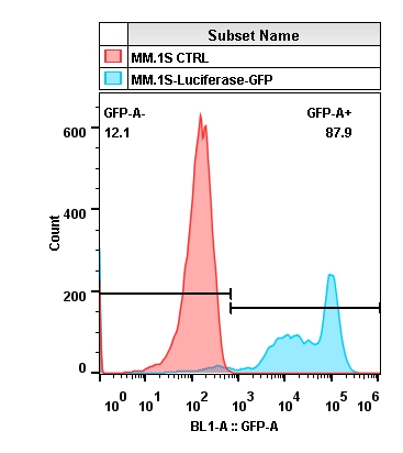 2019-11-20-MM1S-Luciferase.jpg
