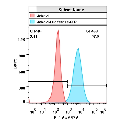 2019-11-18-Jeko-1-Luciferase-GFP(sort).jpg