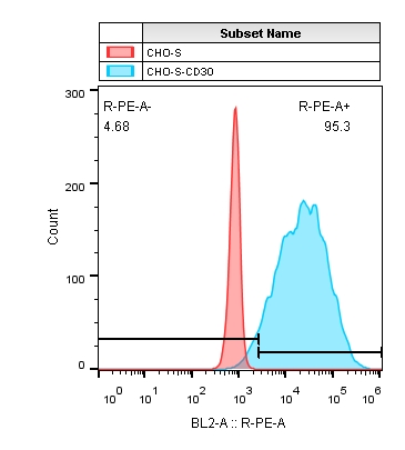 CHO-S-CD30.jpg