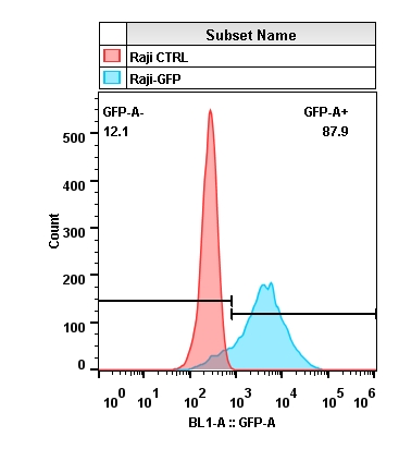 2020-4-22-Raji-GFP-Layout.jpg