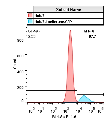 2020-4-22-Huh-7-Luciferase-GFP-Layout.jpg