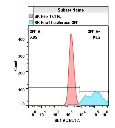 2020-4-22-SK-hep1-Luciferase-GFP-Layout.jpg