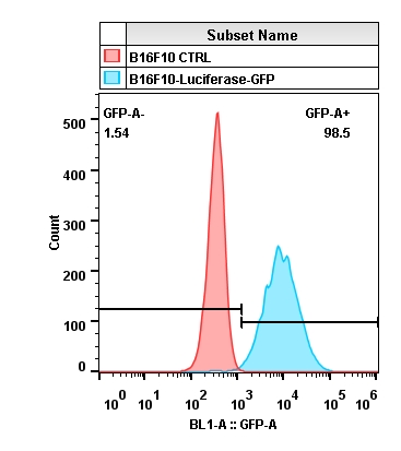 2020-4-22-B16F10-Luciferase-GFP-Layout.jpg