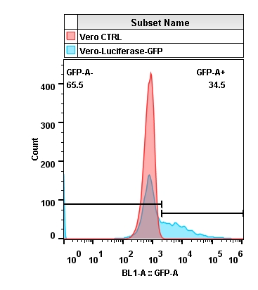2020-4-22-Vero-Luciferase-GFP-Layout.jpg