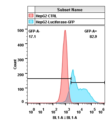 2020-4-22-HepG2-Luciferase-GFP-Layout.jpg