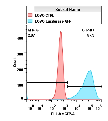 2020-4-22-LOVO-Luciferase-GFP.jpg