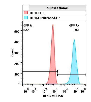 2020-4-22-HL60-Luciferase-GFP(sort)-Layout.jpg