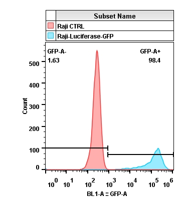 2020-4-22-Raji-Luciferase-GFP-01.jpg