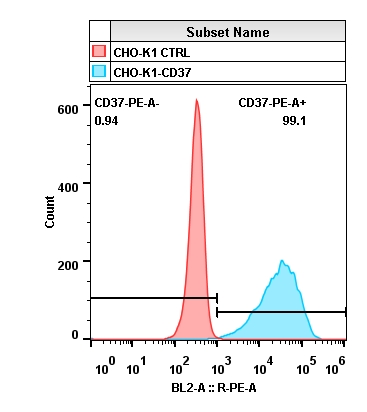 2020-4-22-CHO-K1-CD37-Layout.jpg