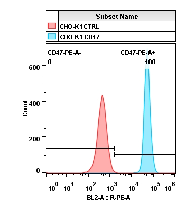 2020-4-22-CHO-K1-CD47-Layout.jpg