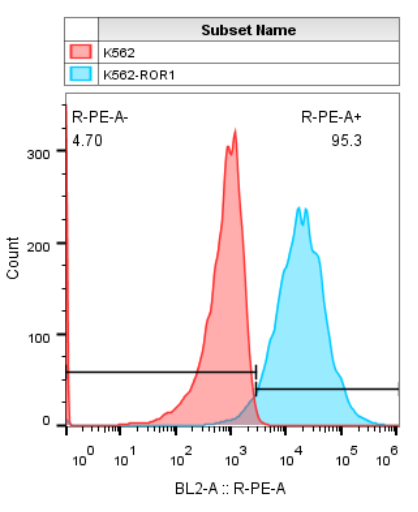 K562-ROR1细胞株.png