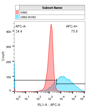 K562-ROR2细胞株.png