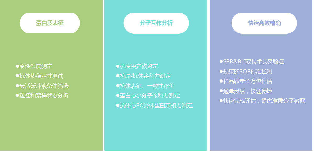 蛋白分子.png