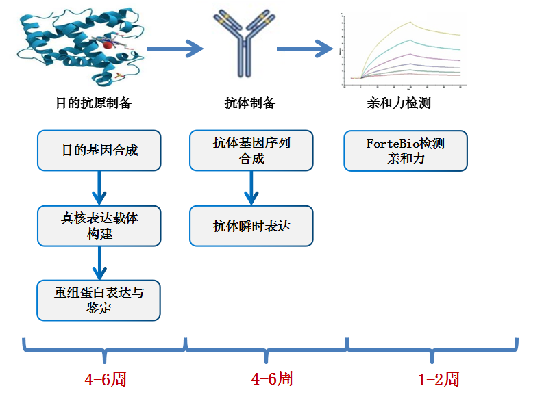 亲和力.png