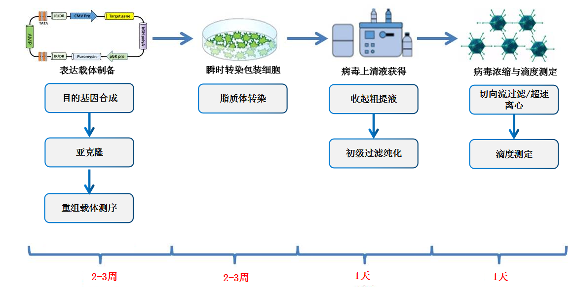 CART病毒.png