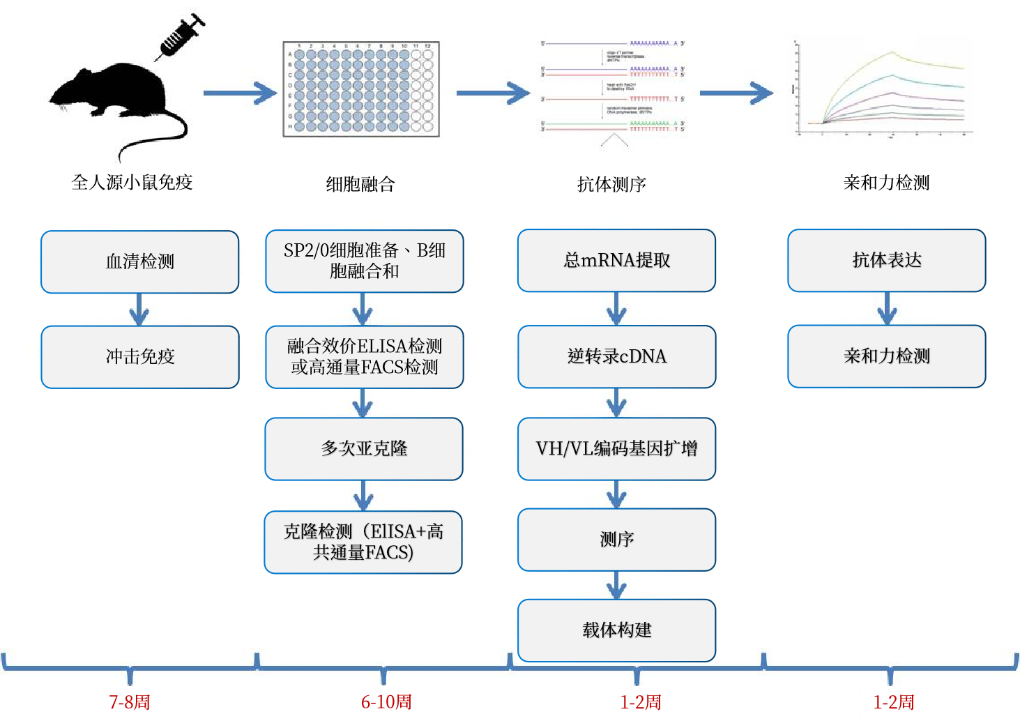 全人源.png
